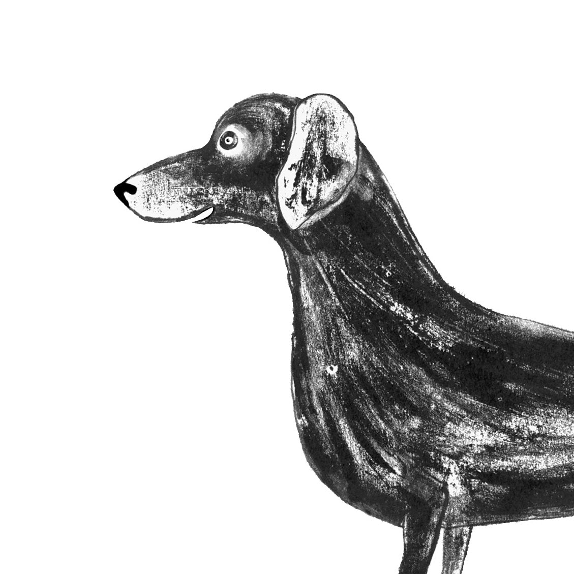 Sausage dog