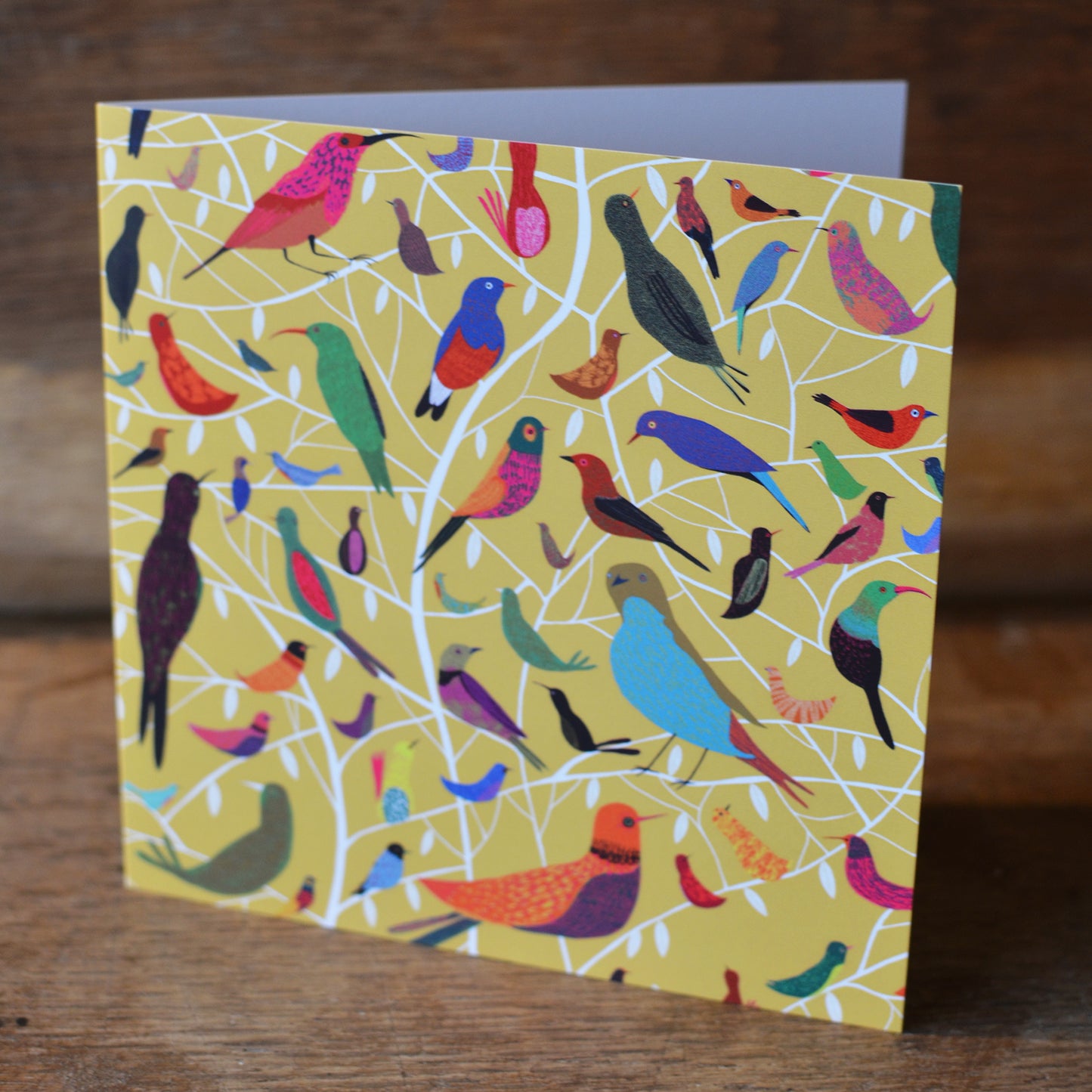 Bright Birds Card