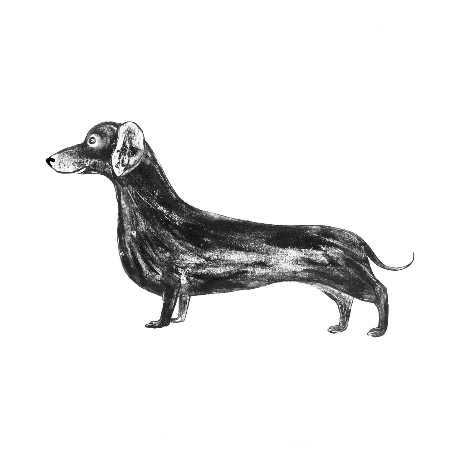 Sausage dog card