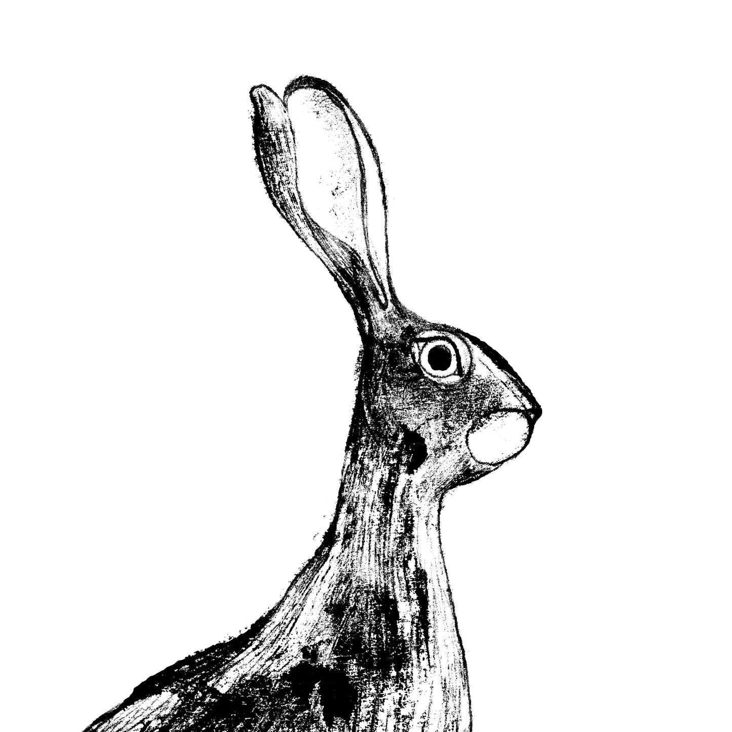 Sitting Hare