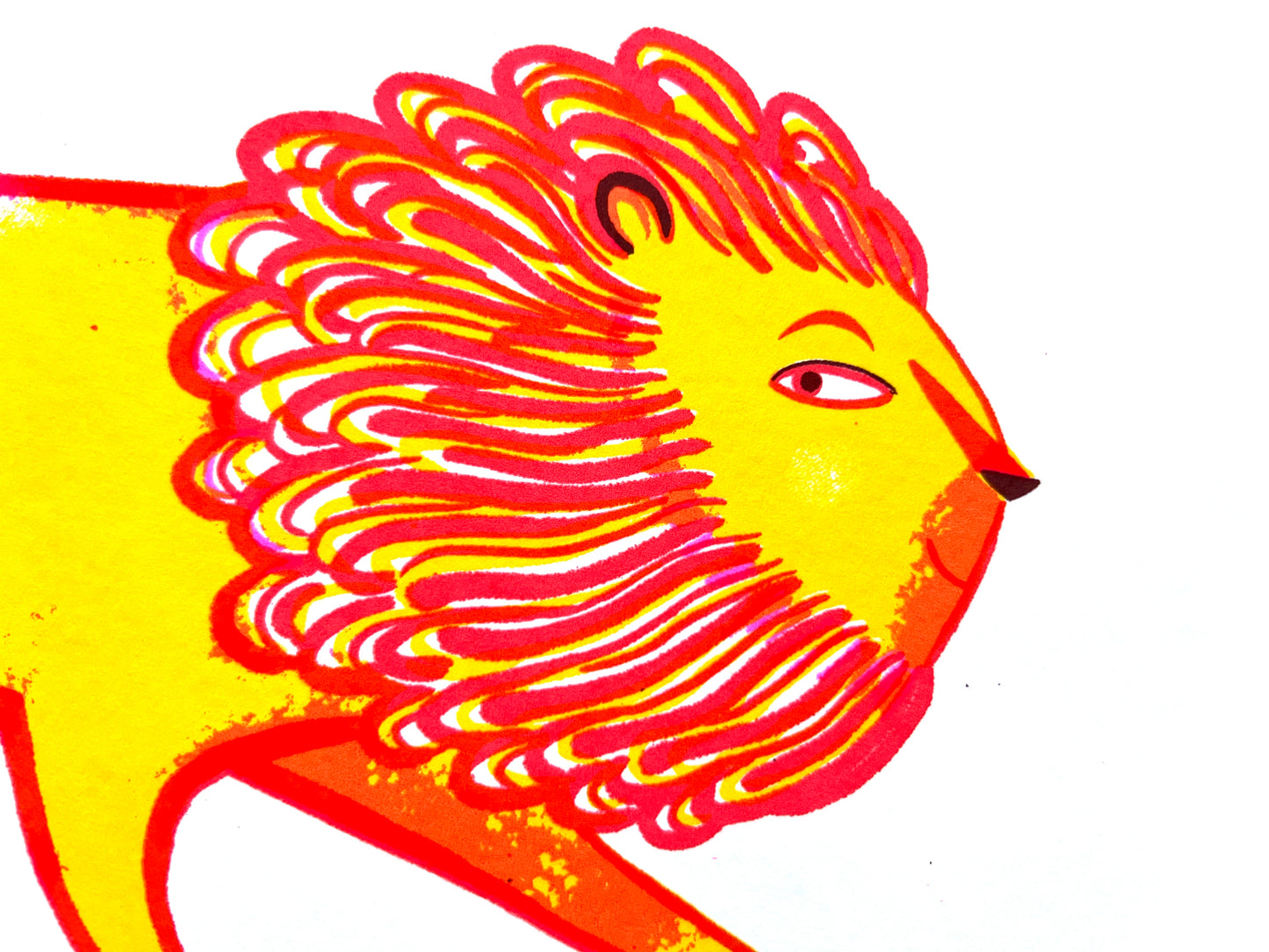 Lion - pink and yellow
