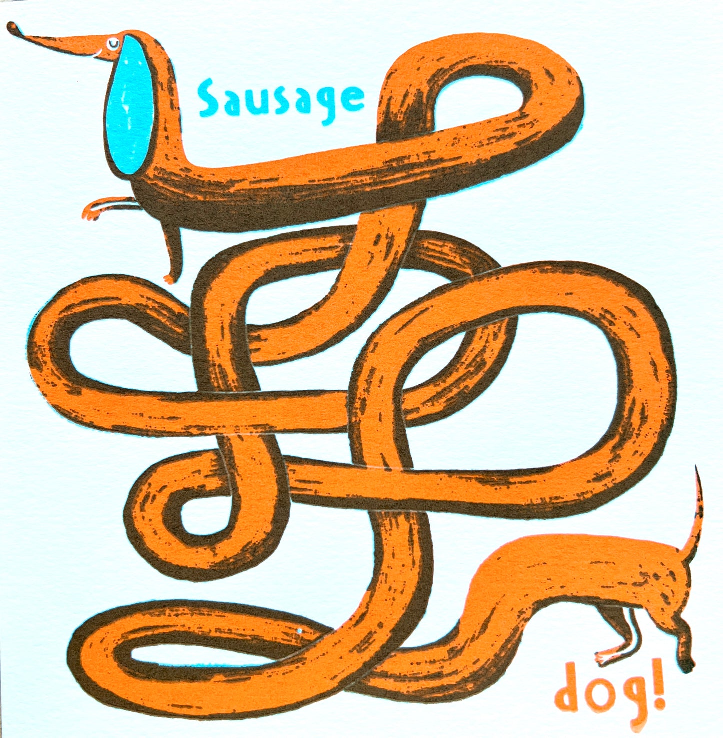 Sausage Dog