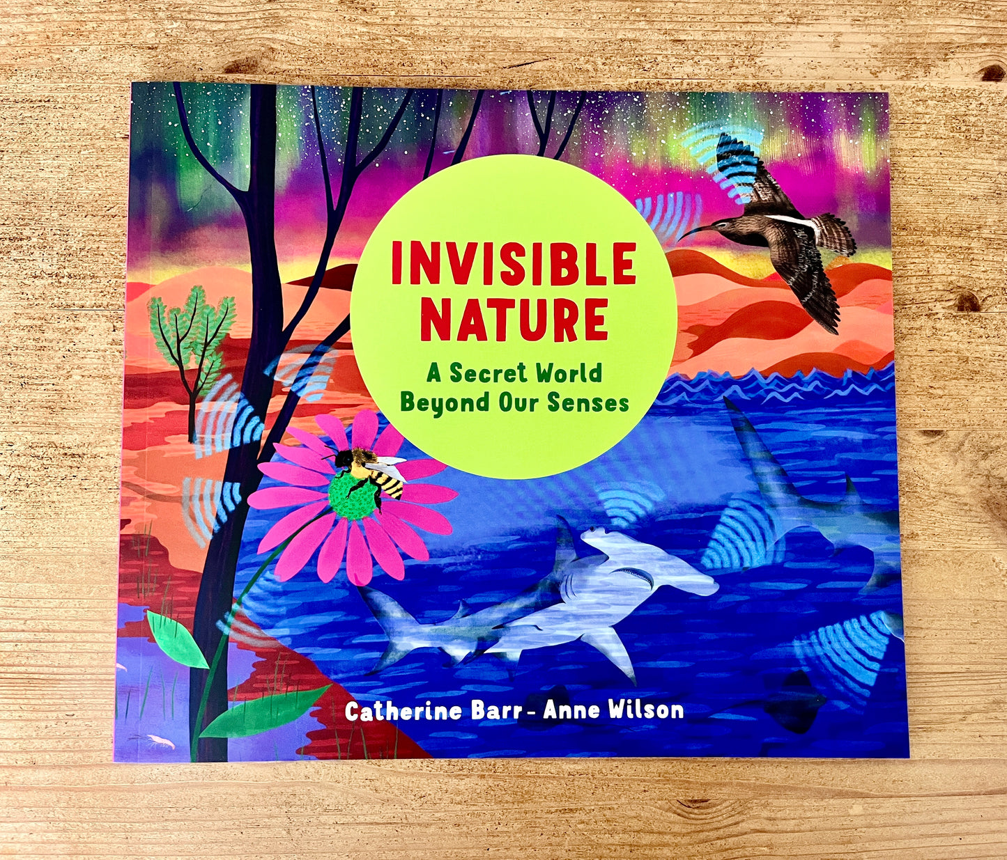 Invisible Nature - paperback book